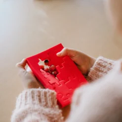 SmartGames Happy Cube Original 9 SmartGames Happy Cube Original -Peuter Plezier Verkoopwinkel SmartGames Happy Cube Original 1 1