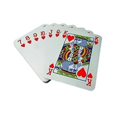 BS Toys GA054 Gigantische Speelkaarten -Peuter Plezier Verkoopwinkel buitenspeel ga054 kaarten 1 1