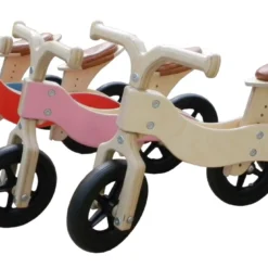 Houten Trike 2-in-1 Loopfiets VanDijkToys Div Kleuren
