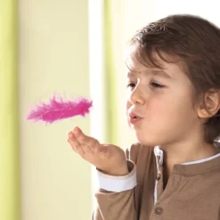 Vliegende Veren 10 Vliegende Veren -Peuter Plezier Verkoopwinkel haba gezelschapsspel vliegende veren 3