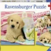 Knuffelhondjes Puzzelbox Ravensburger 3 X 49 Stukjes -Peuter Plezier Verkoopwinkel knuffelhondjes puzzel ravensburger