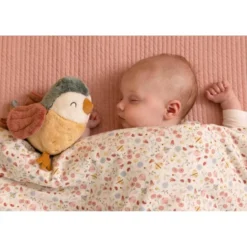 Little Dutch LD8715 Giftset Flowers & Butterflies -Peuter Plezier Verkoopwinkel little dutch LD8715 Giftset Flowers Butterflies 4